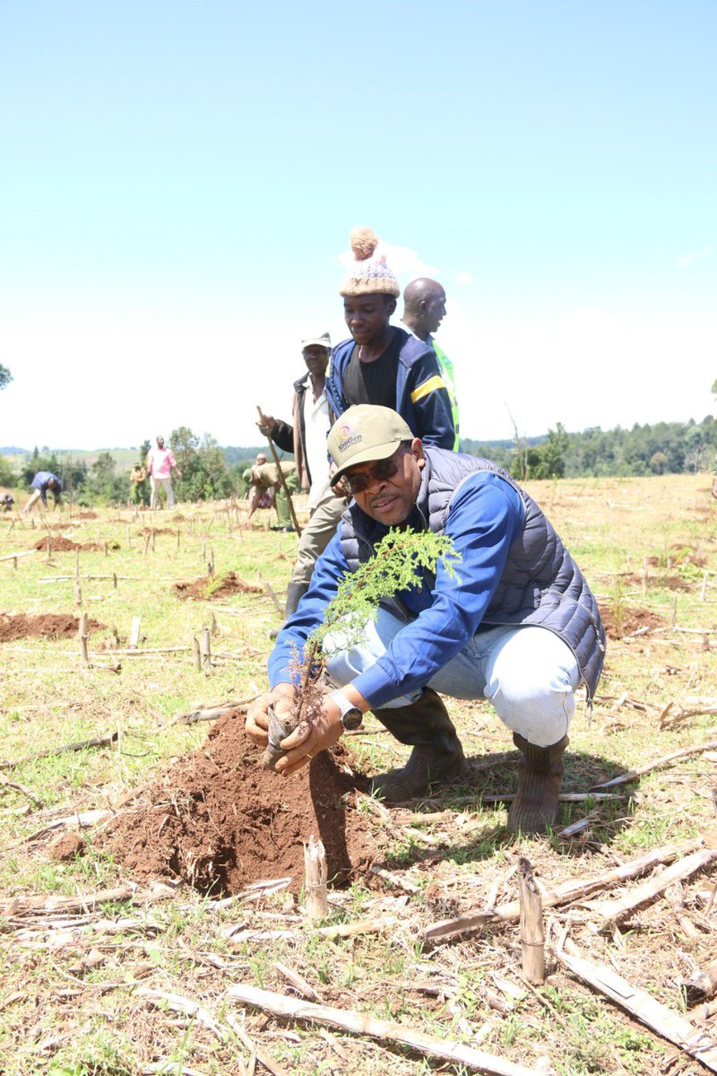With over 2.9 million trees planted to date, @KenGenKenya is committed to sustainable environmental conservation, foster a culture of tree-growing within our organization, and contribute to GOK target of planting 15 billion trees in 10 years. #JenGaKenGen #SustainableFuture