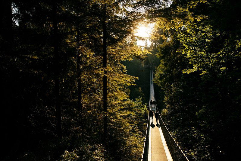 💡¡Parque y Puente Colgante de Capilano un #ViernesdePuentes!

📌Vancouver | Canadá

🎙”El lugar es mágico; no puedes dejar de ir. Con las 3 horas del tour alcanzas ha recorrerlo con calma y disfrutarlo plenamente.” 
 
#ExploreCanada