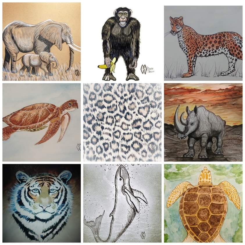 May 17th is National Endangered Species Day.  Here are some of my works of art with endangered animals.   #mattstarrfineart #artistic #gift #art #EndangeredSpeciesDay #animal #animals #wildlife #rhino #leopard #elephant #tiger #chimp #seaturtle #rhinos #elephants #turtles