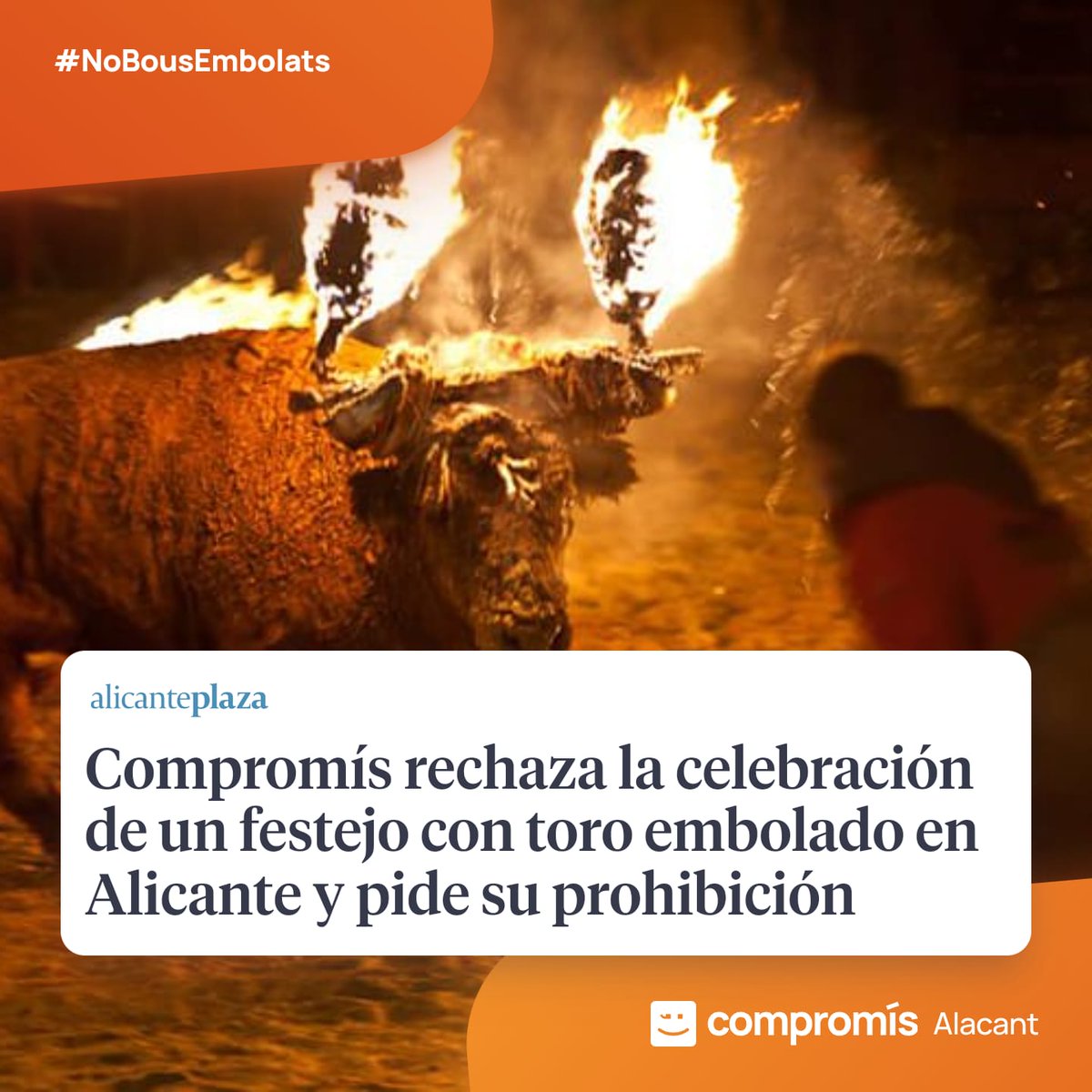 #ToroEmbolado

Los toros lloran, se dislocan la cabeza intentando arrancarsela, se desorientan, pierden visión, les falla la respiración, se estresan y se agotan llegando incluso a sufrir fallo cardiaco.

Alacant y les #Fogueres no apoyan este maltrato y sufrimiento Animal.