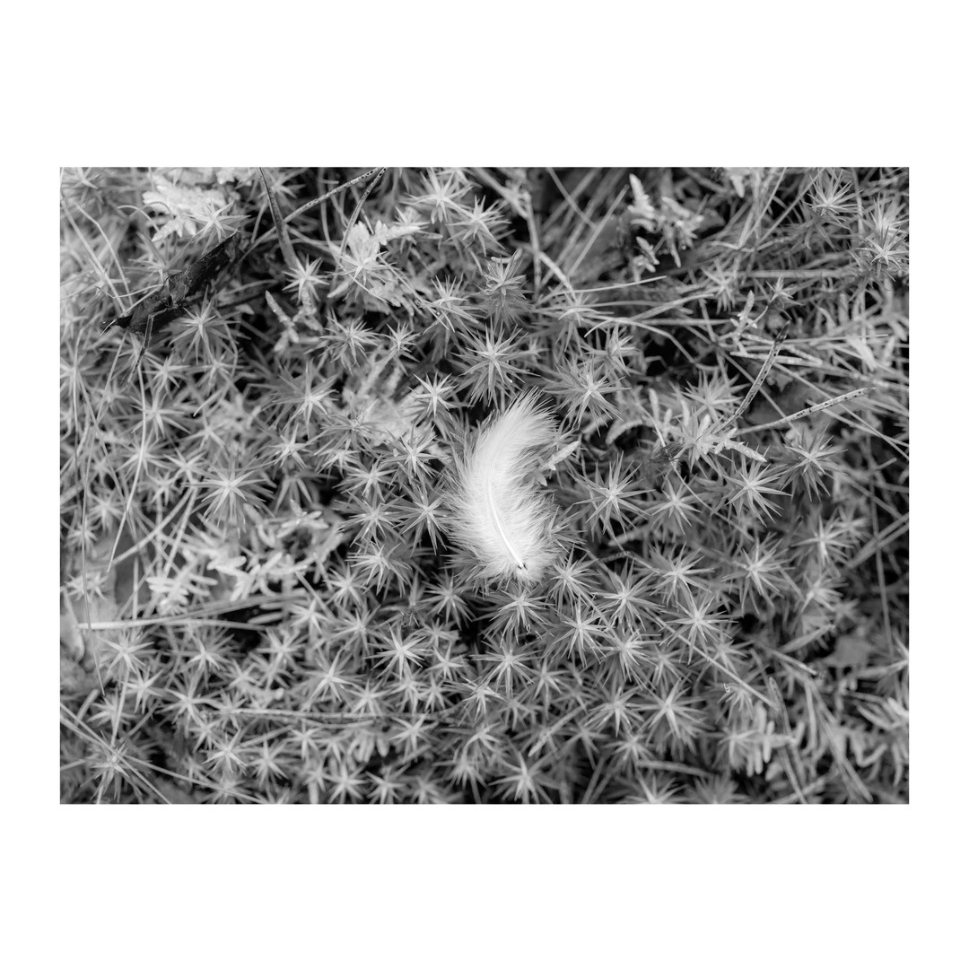 Stu McKenzie tweet media