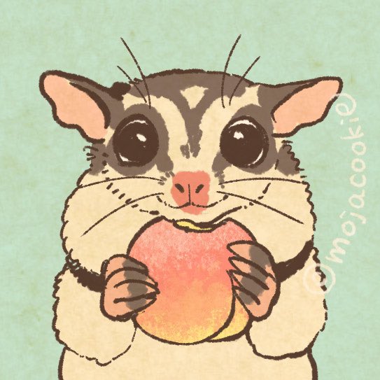 桃を食べるモモンガ。