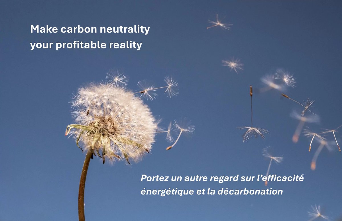 Wébinaire - Bénéfices multiples de l'efficacité énergétique et de la décarbonation dlvr.it/T70vD1