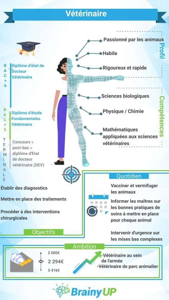 [Guide métiers🔍]

Le vétérinaire 🧑‍⚕️ spécialiste de la médecine animale, s'occupe des nos chers animaux de compagnie de même que des espèces sauvages et protégées 🦁 En cabinet ou en parc animalier, il soigne tout type d'animaux afin de les préserver. 

#metiers #veterinaire