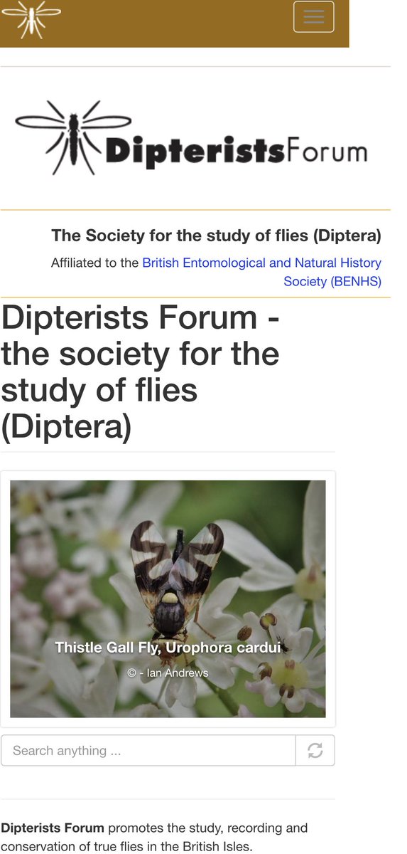 Just about to head to Radnorshire to spend a weekend with the <a href="/DipteristsForum/">Dipterists Forum</a> folks looking for flies 

It’s the best sort of weekend. Lots of informed &amp; interesting fly folks studying &amp; discussing all things Diptera 

For more info about these trips dipterists.org.uk/home