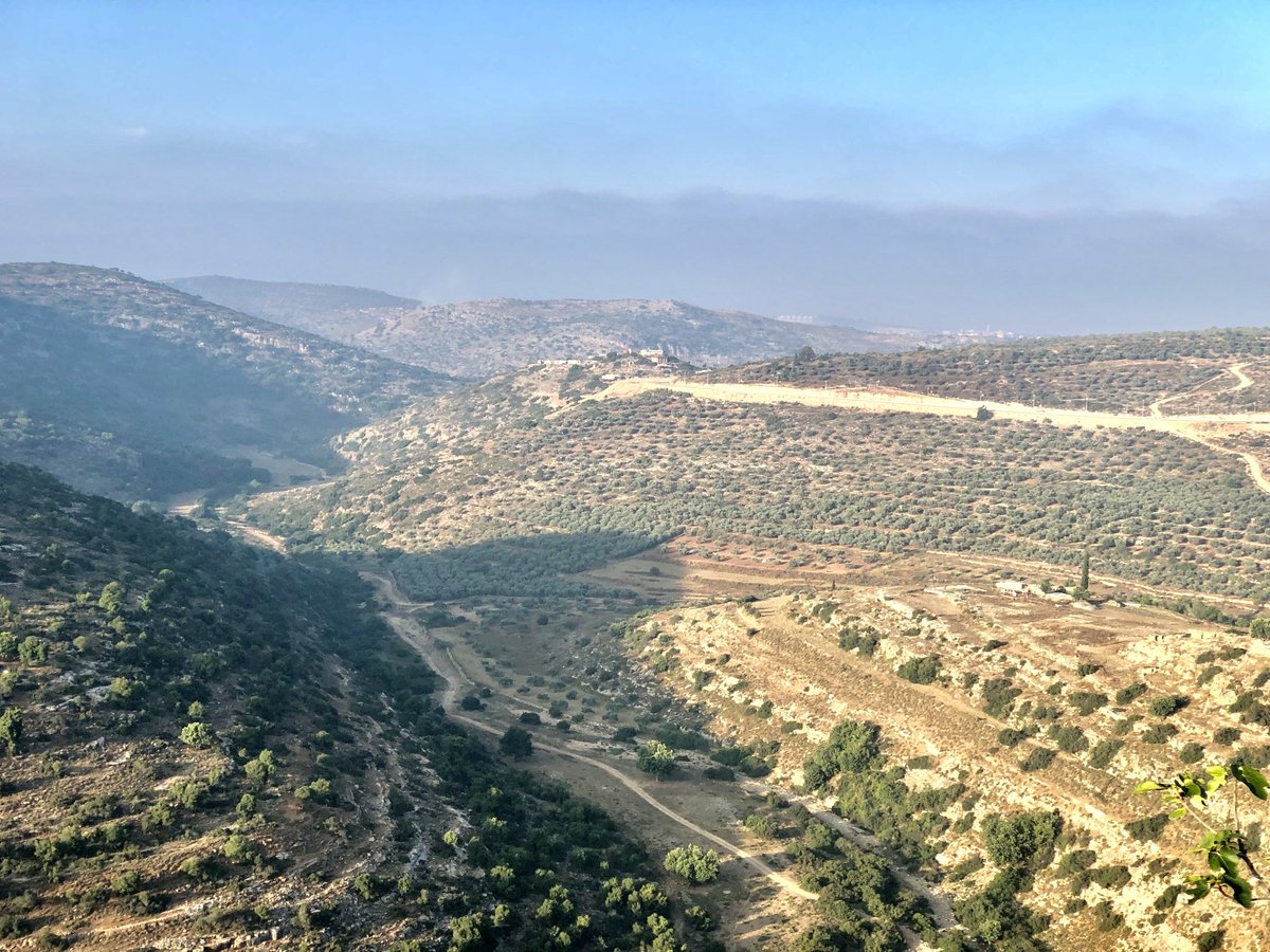 This is the Shomron of Israel. The dry riverbed at the bottom (nachal) is the dividing line between the tribes of Ephraim and Menashe. There’s a tiny Bedouin encampment in the lower right.