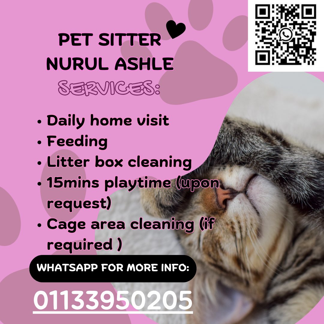 Jom tolong RT ads pet sitter I ni 😍 Nak cari duit belanja harian + nak beli kibbles untuk my cats and untuk sewa rumah RM1000 🥲🤝🏻 I’ve been dismissed from my prev job due to depressions. This is my only alternative for now as my mental is unstable to work like normal ppl.