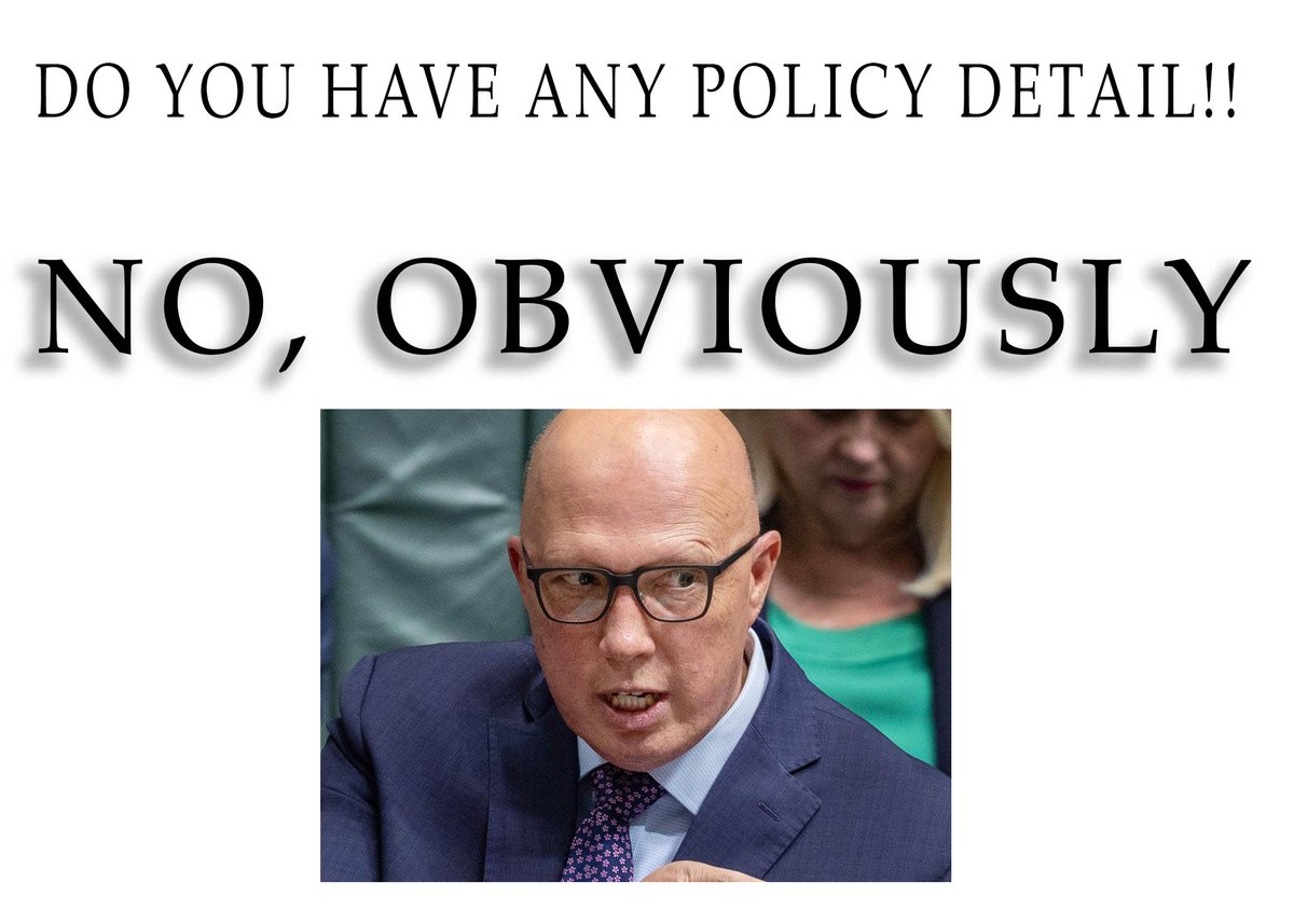Peter Dutton #SarahFerguson @abcnews #afternoonbriefing #Dutton #LNPNeveragain #MURDOCHFREEWORLD #MurdochMuppet #auspol #nswpol