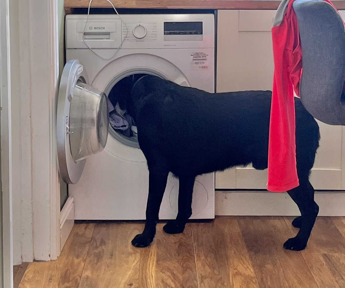 Dave Harford tweet media