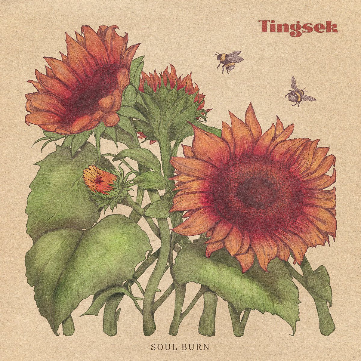 Tingsek tweet media