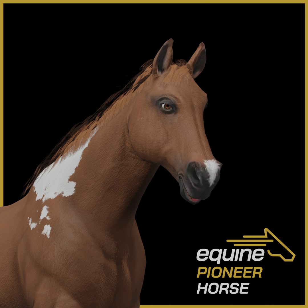 Large Offer Alert 🚨 Equine Pioneer Horse [00408] from @EquineNFT has received an offer of 2,222 $ADA on jpg.store 🔥