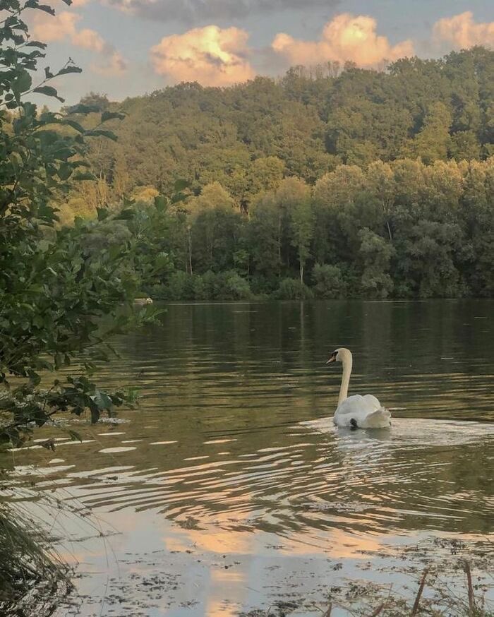 “Olmamanın da bir hızı vardır.. Bazen o kadar yavaş olmuyordur ki oluyor zanneder insan..”