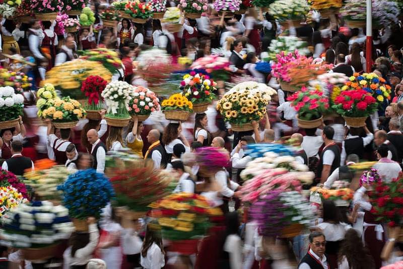 Centinaia di fiori colorati per una delle feste più suggestive e originali d'Abruzzo: la Festa dei #Banderesi di #Bucchianico! Scopri di più 👇 abruzzoturismo.it/it/magazine/i-… 📷 Vito Frugis (Instagram vf_1979) #Abruzzo #turismo #cultabruzzo