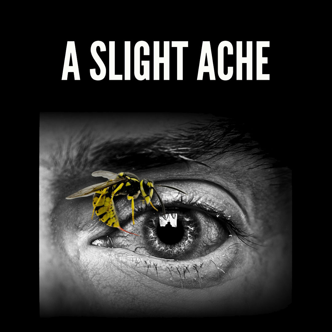 A Slight Ache, written by renowned British playwright Harold Pinter, will focus on community and well-being whilst advocating for the arts! Harold Pinter’s compelling one act play, will tour to village halls and Buxton Fringe Festival this July. artsderbyshire.org.uk/news/creative-…