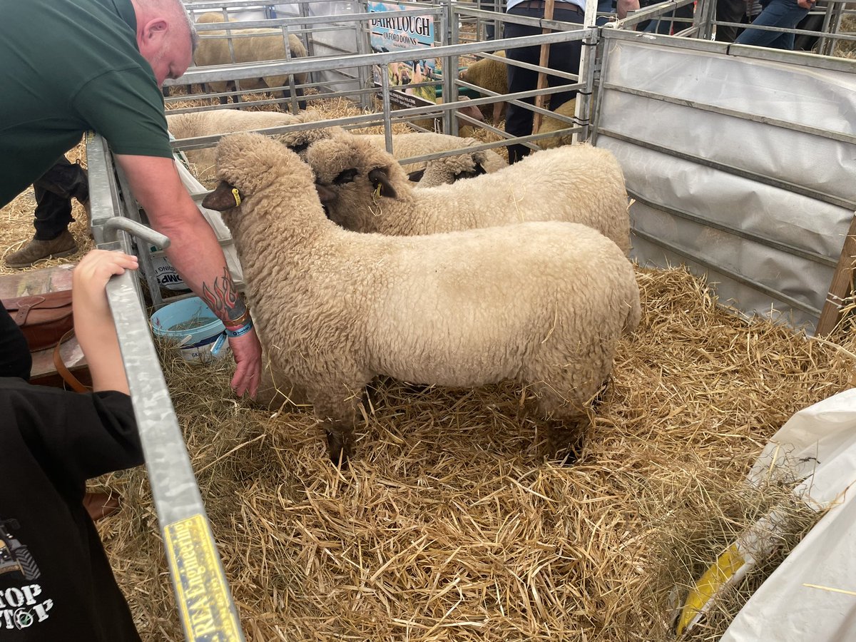 Second day at the Balmoral Show, lots of chat with farmers, ministers, NGOs and the general public. Lots of concerns about the inability to import livestock currently and getting new genetics into Northern Ireland @rbst #gonative #balmoralshow