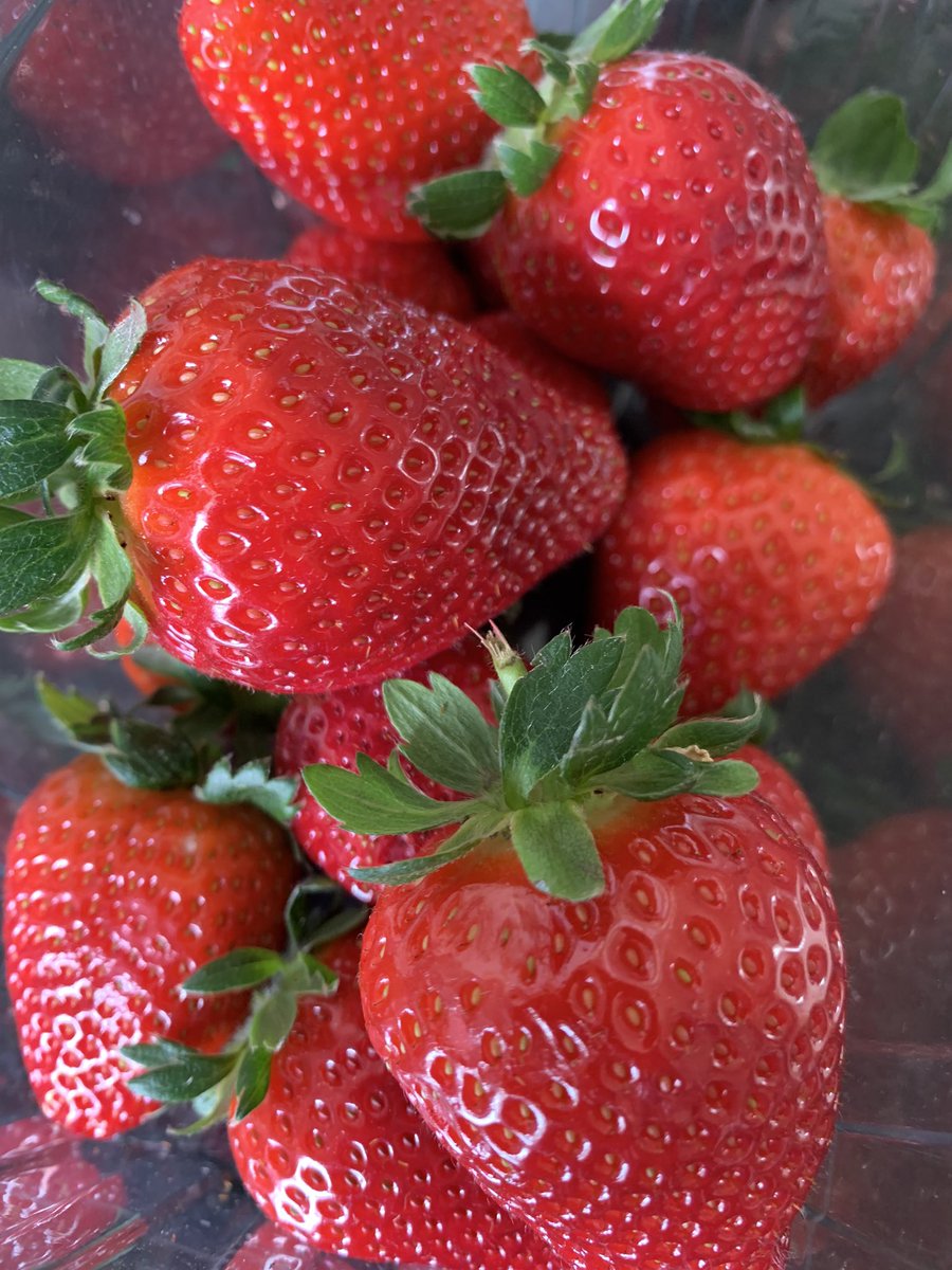 Absolutely delicious whooper British strawberries from @HughLoweFarms @Tesco 🍓😋😍 #buybritishfruit