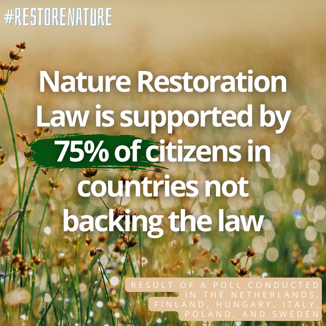 EU countries failing to support the Nature Restoration Law are failing their citizens. 💡 A new survey in NL, FI, HU, IT, PL & SE shows that 3 out of 4 citizens support the law! 🤦 But their governments still block the law, denying them the benefits of #RestoreNature!