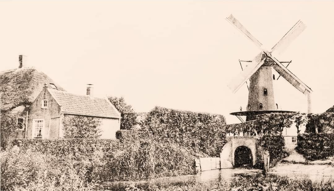 Deze molen te Dongen (Brabant)werd gesticht door Prins Willem V in 1778, wat te lezen was boven de ingang van de molen.
De molen was eigendom van de staat en werd verpacht. De molen stond aan het riviertje de Donge. Hij kon zowel op windkracht als op waterkracht draaien.
1/3