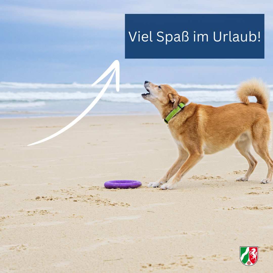 🚗🦮 Reisen mit Hund: Damit der #Kurzurlaub auch für unsere Freunde mit vier Pfoten 🐾 erholsam wird, empfehlen wir folgende Reisehinweise. Einen schönen Urlaub.