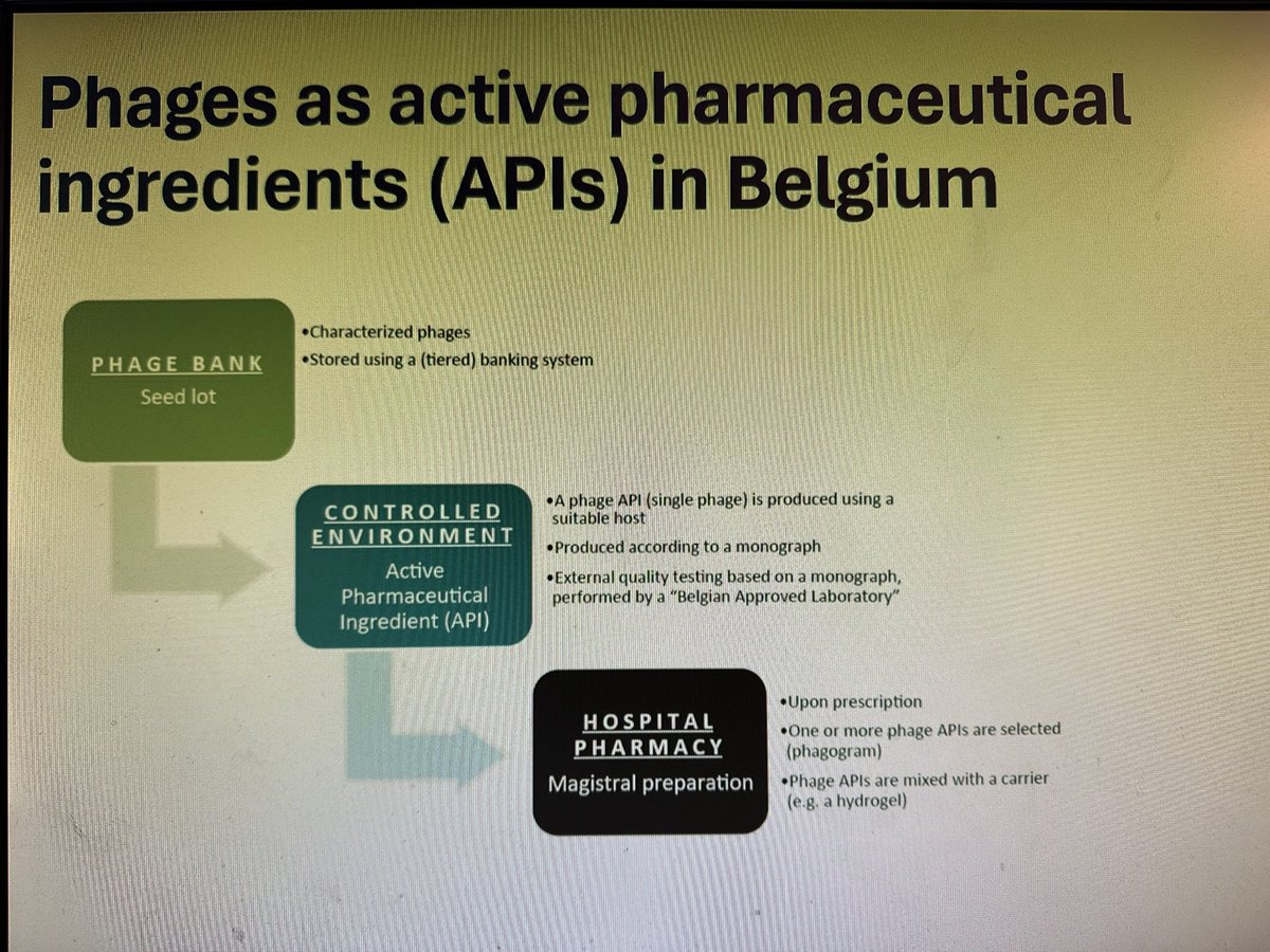 DrChristianneM's tweet photo. Fascinating talk on #phages. We probably need to be more like Belgium! #BSACSpring2024 https://t.co/XTvmRzKVuD
