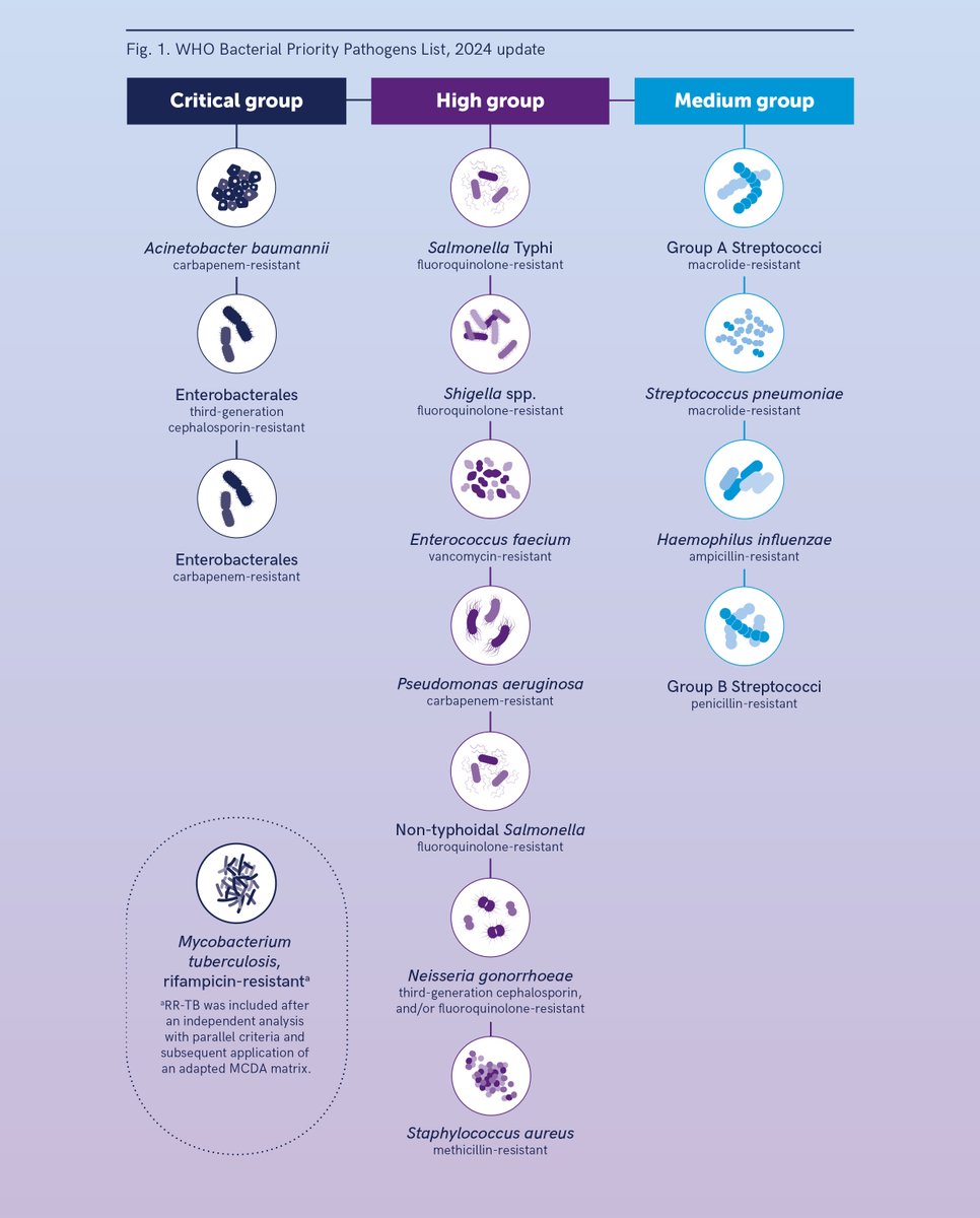 Hatim Sati (@hatimsati) on Twitter photo <a href="/WHO/">World Health Organization (WHO)</a> just releases the 2024 Bacterial Priority Pathogens List of public health importance to guide R&D, and investments in #AMR prevention and control in measures to address emerging public health threats. Full report: who.int/publications/i… <a href="/WHO/">World Health Organization (WHO)</a> just releases the 2024 Bacterial Priority Pathogens List of public health importance to guide R&D, and investments in #AMR prevention and control in measures to address emerging public health threats. Full report: who.int/publications/i…