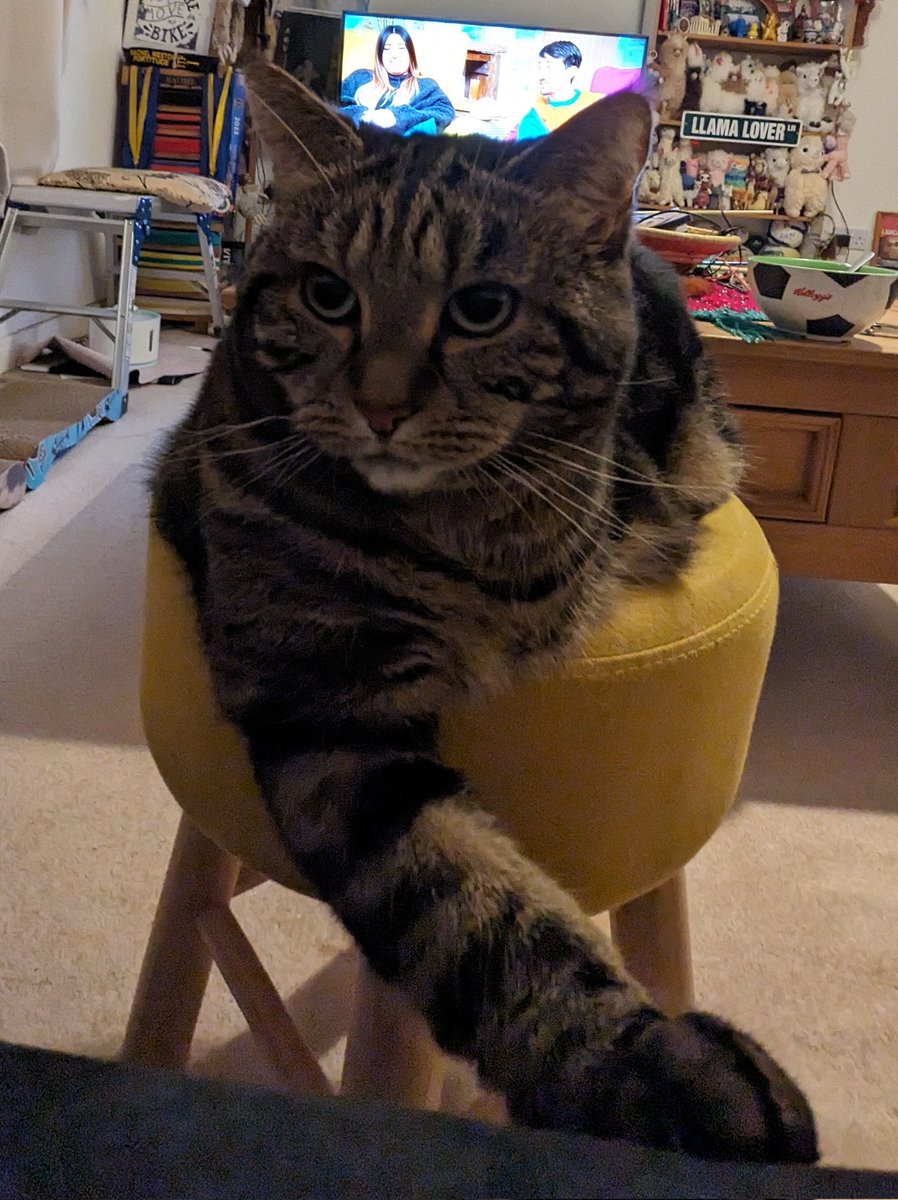 lolathecat2024's tweet photo. Attention all cat lovers! 😺 

Are you ready to embrace the purr-fect future with $Lola? 

🌈💰 Let's paint the town with cat-titude!

#lolathecat #CAT #3LeggedCat #ELONMUSK #Aveai #DEXTools #Coingecko #CoinMarketCap #BitMart #MEXC https://t.co/5ozazVRlnu