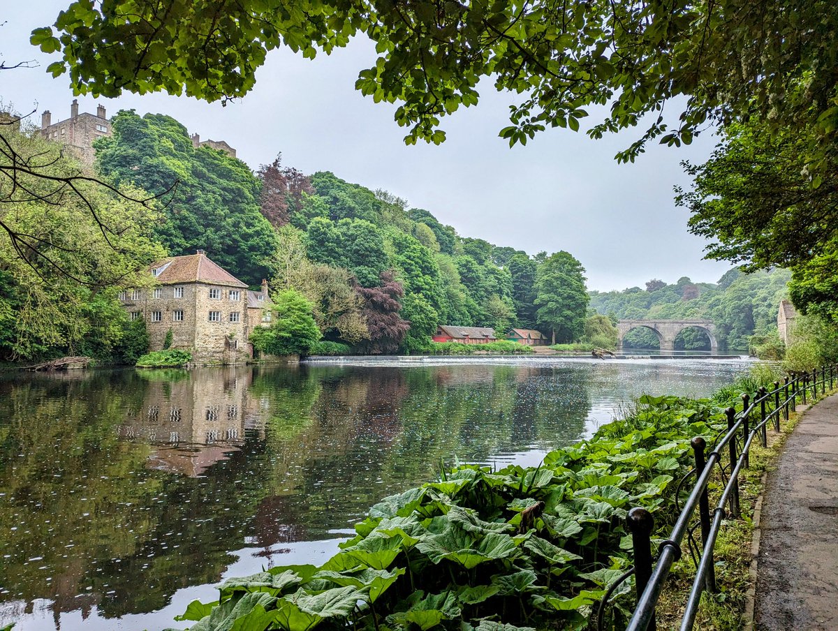 Even now, I always find it remarkable that you can be in the centre of #Durham and enjoy scenery like this. It really is a special city 😍
