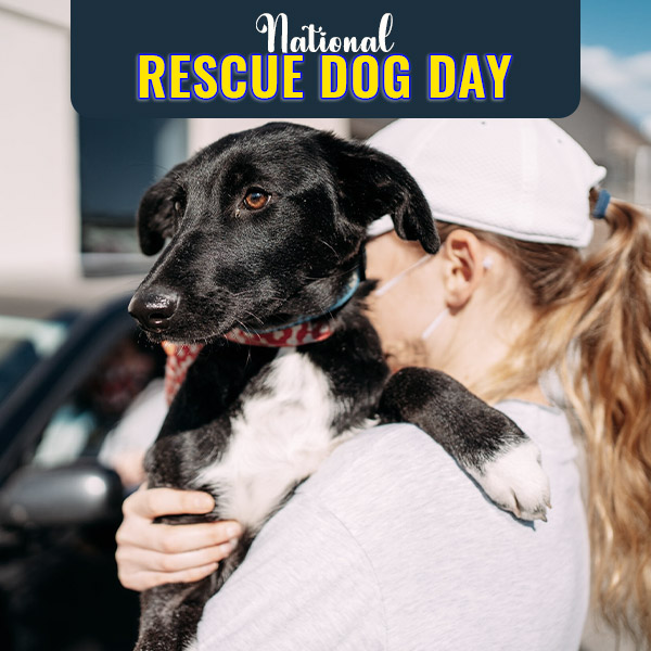 National Rescue Dog Day🐾

Adopt a four-legged canine and give them all the love and care they need.

#rescuedog #dog #pets #PetCare #adoptarescue #doglover #petlovers