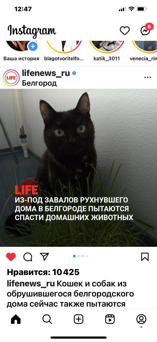 Господи помоги самым беззащитным! Деткам, старикам и животным! Господи охрани всех нас! Аминь