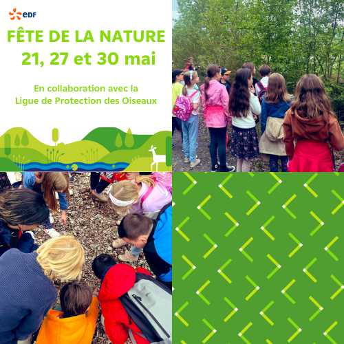<a href="/EDFBouchain/">EDF Bouchain</a> s'allie à la <a href="/LPOFrance/">LPO France</a> pour la Fête de la Nature. 🕊
Une nouvelle animation est au programme pour les élèves participants :  "Les paysages de l'énergie". Parfaite pour découvrir le territoire du CCG grâce à une sortie nature sur le terril de Bouchain-Roeulx !⛰️
#FDN