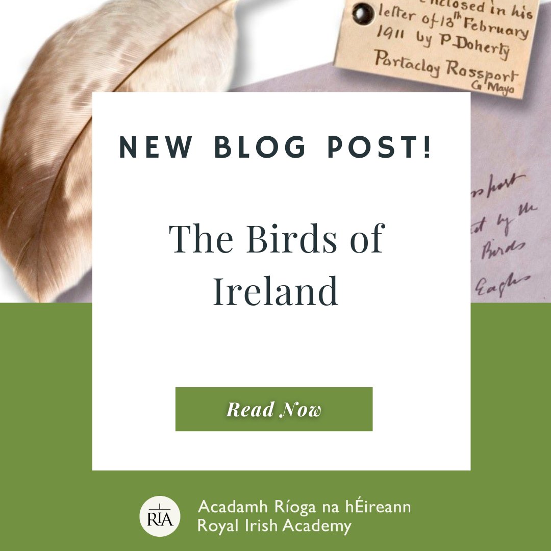 Today marks the beginning of #BiodiversityWeek2024! We're sharing exciting news about one of our natural science collections: the Ussher Bird Notes. Why not read our latest blog & sign up for a guided tour of the collection next week! (Tour link in thread) ria.ie/news/library-l…