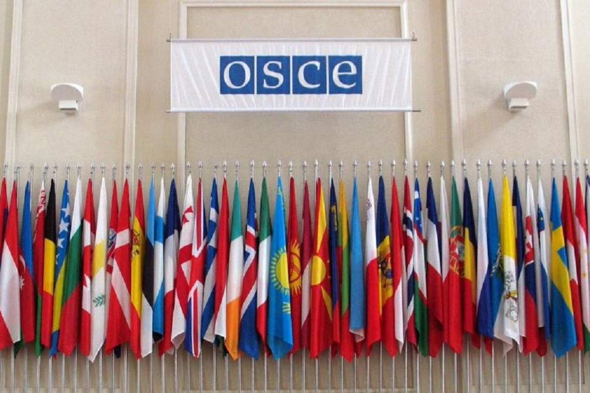 #Volgarev: 🇷🇺 For the Russian Federation the adoption of the Basel Declarations will remain one of the main thematic priorities in the #OSCE human dimension. We hope that sane countries will also continue to support this initiative