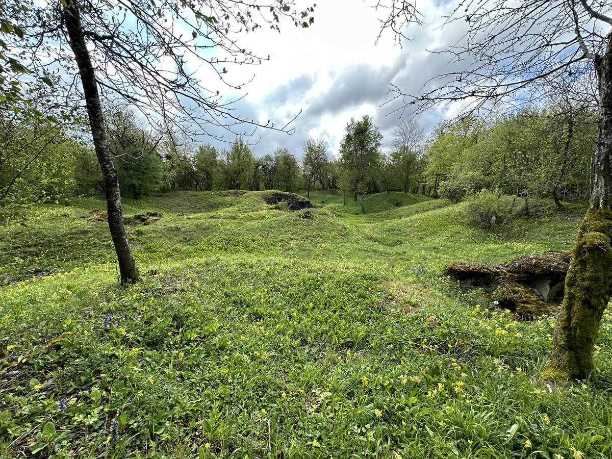 Ri315e's tweet image. #frontlineFriday

Where are we?