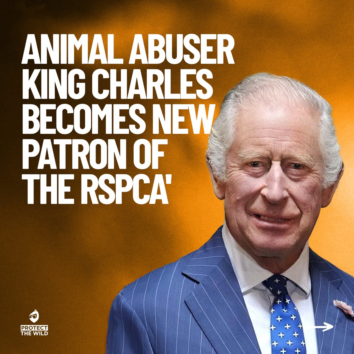It’s quite frankly a joke that someone who described fox hunting as “romantic” has become the patron of a charity that is meant to protect animals from cruelty.