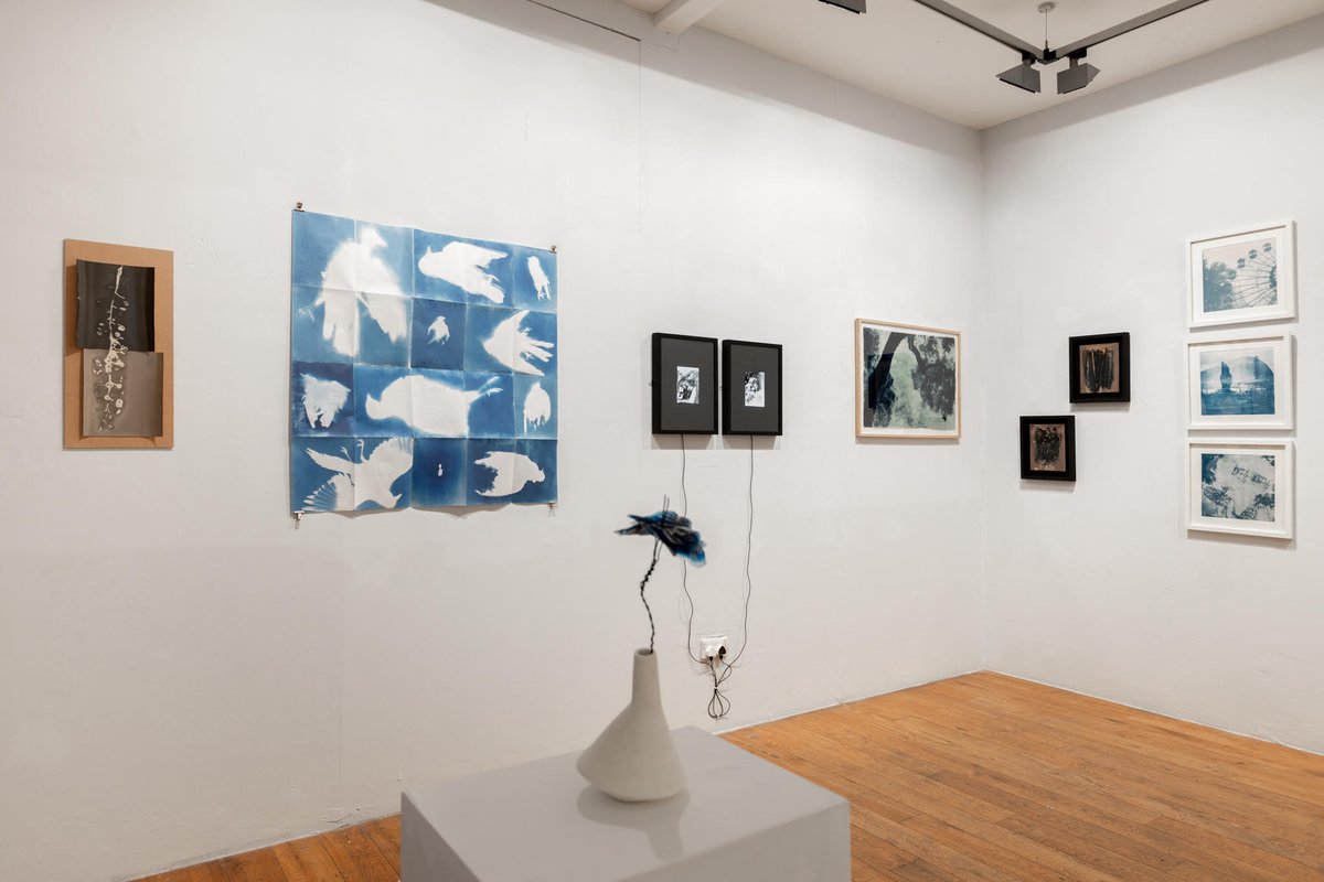 Symbiosis, Open Friday 17th and Saturday 18th May 2024 11.00 -18.00 <a href="/FourCornersE2/">Four Corners</a> 

Closing Event &amp; LAPC Social: Saturday 18th May, 16:30 - 18:00. Bring a cup of tea and a snack! All welcome.

londonaltphoto.com