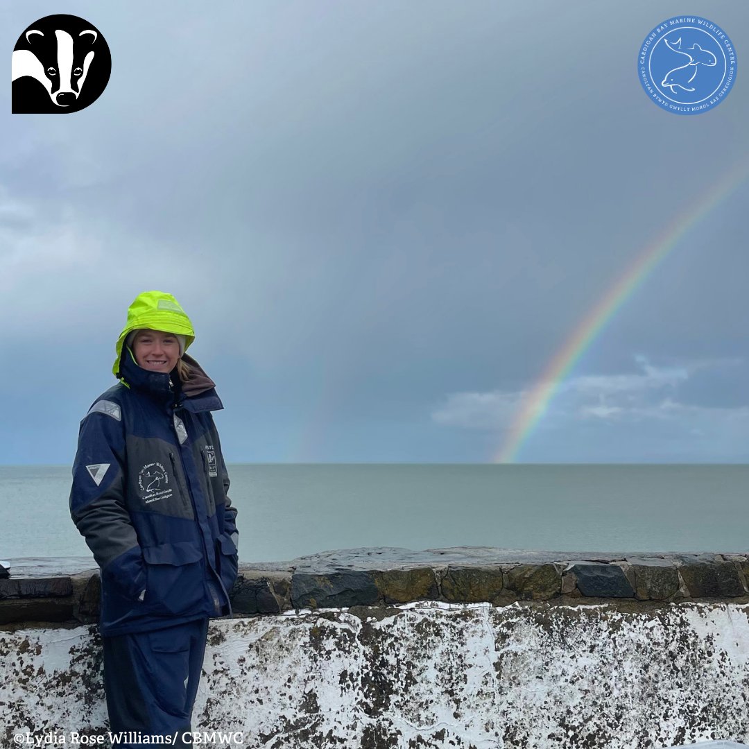 👋 Goodbye to our placement student Anwen 😭 ✨ We'd like to say a MASSIVE thank you for all your help with our #marineconservation work over the past 3.5 months! 👏💙

@WTWales @WTSWW