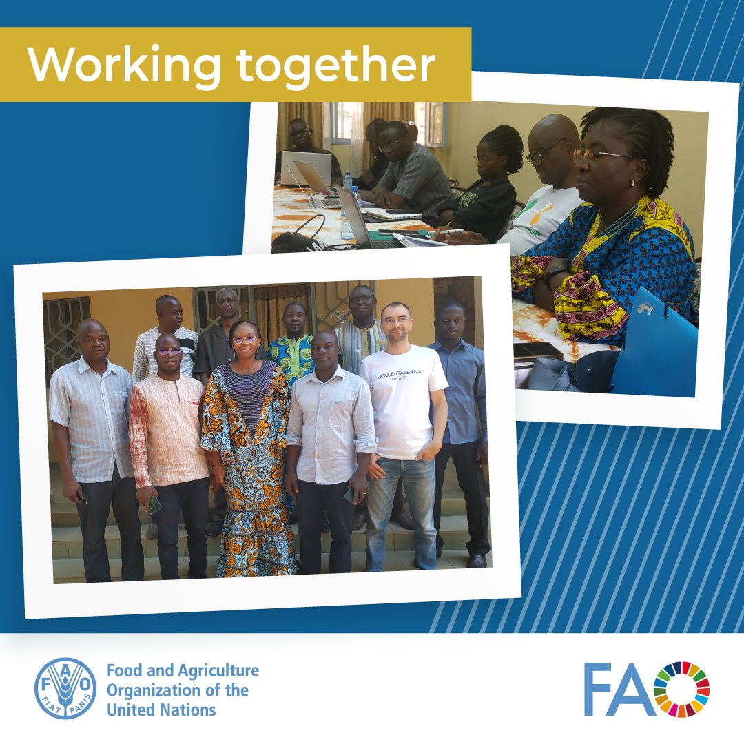 .@FAO supported training and workshop in Burkina Faso to promote the progressive control of #tsetse flies and animal #trypanosomosis within the @EU_Commission funded #COMBATproject 👉FAO & Trypanosomosis: fao.org/paat 👉Project COMBAT: combat-project.eu