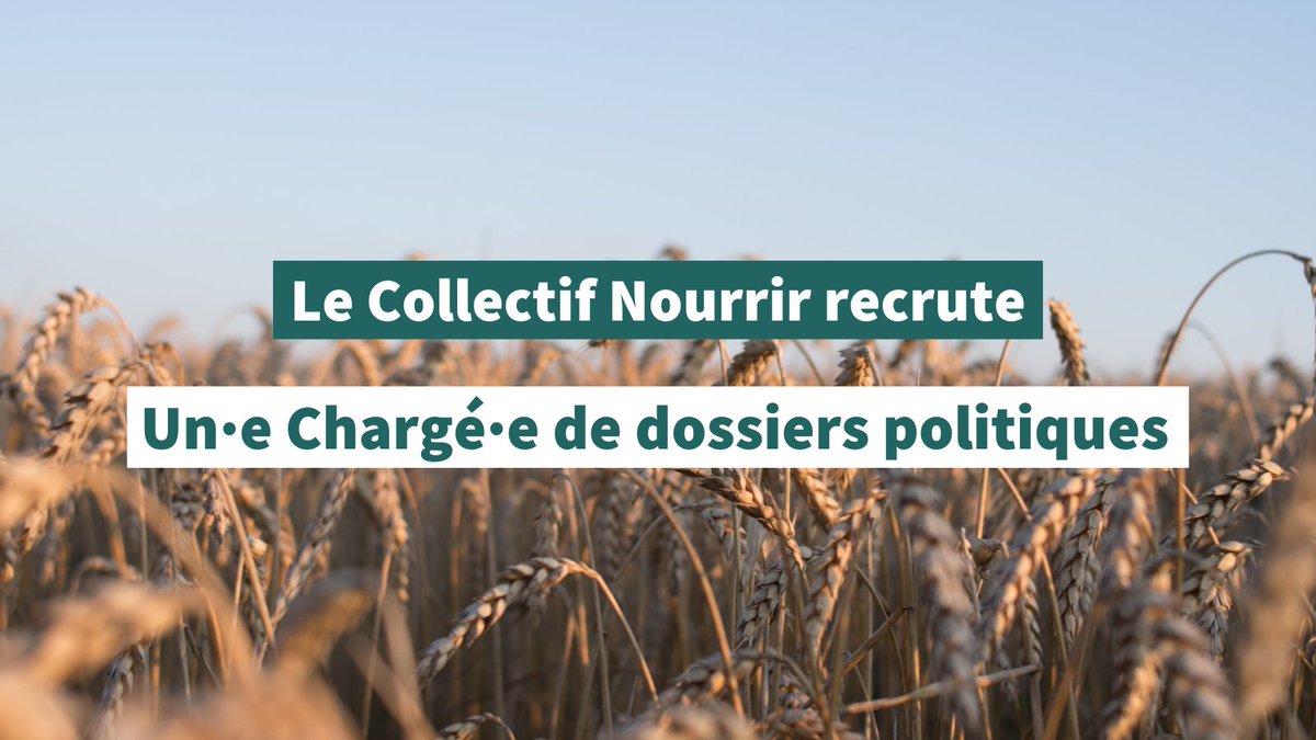 📣 On recrute un·e Chargé·e de dossiers politiques ! Retrouvez l’offre complète 👉 collectifnourrir.fr/le-collectif-n…