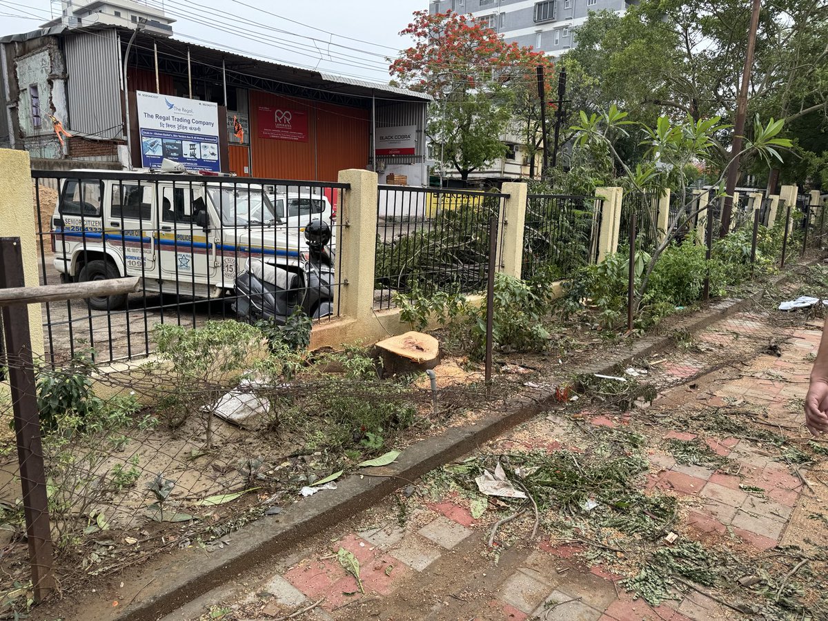 Trees are mercilessly being chopped at prominent locations and concerned authorities are turning Nelson eye towards such incidents. This has happened at LAKADGANJ ground