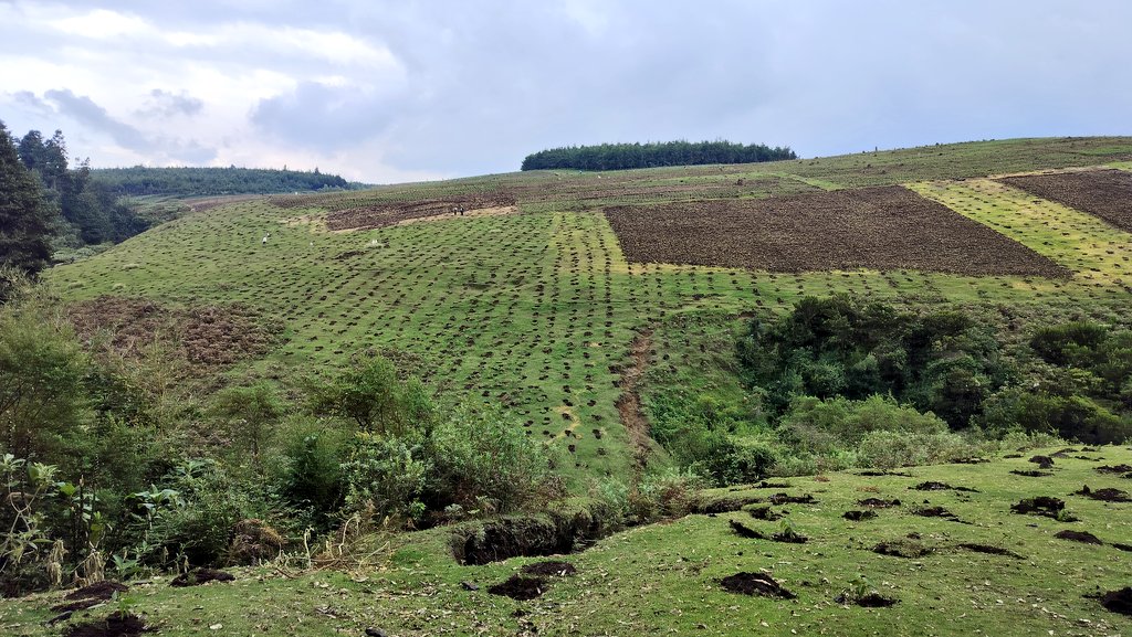 📍 Kinale Forest 🌳, One Tree at a Time 

Today, we came together to plant trees and cultivate a greener future. Each tree symbolizes WaterFund's commitment to nurturing nature and creating a healthier planet.

#15billiontreesby2030 
#treeplanting 
#ClimateAction