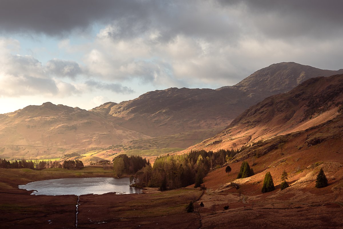 FreshHire's tweet photo. Blea Tarn, Little Langdale, Cumbria, England
#lovemycountry #landmark #transport #chilled #frozen #temperature #controlled #refrigerated #couriers https://t.co/c43N79SgcV