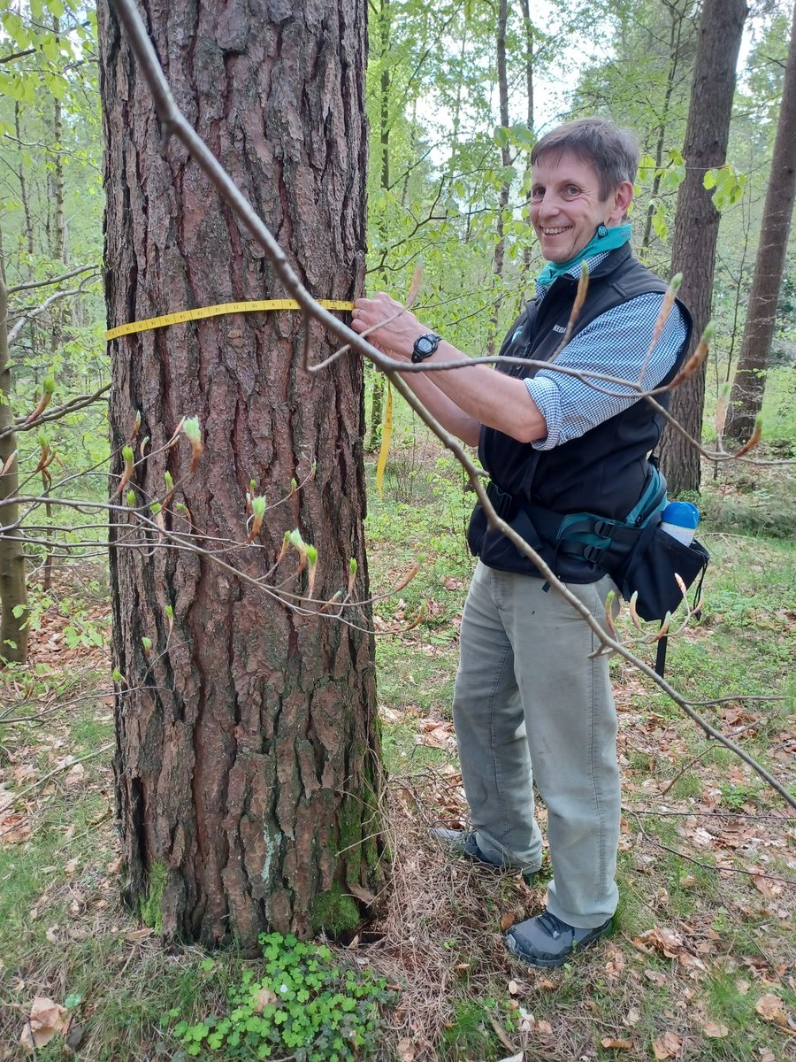 We are really thrilled for David Hay in our Grampian Conservancy who has recently been awarded a Fellowship with @TheICF. 🌳Congratulations David! 🌲 ▶️forestry.gov.scot/news-releases/…