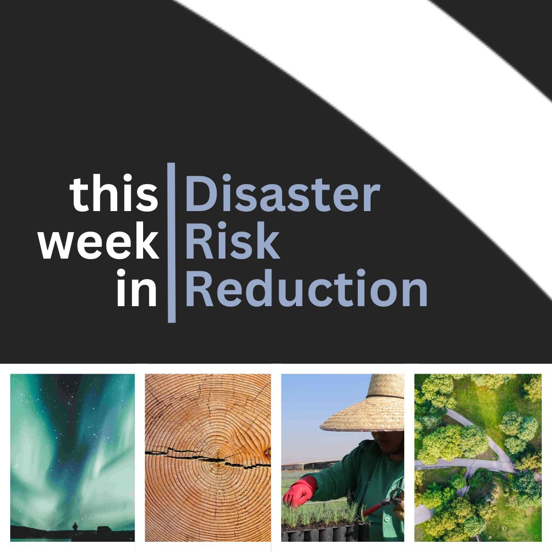 💡New discoveries, hazards to health, and nature-based solutions – catch up with the latest news and research on disaster risk reduction, from #PreventionWeb. Because there are no natural disasters! ➡️ ow.ly/sMgM50RJuev