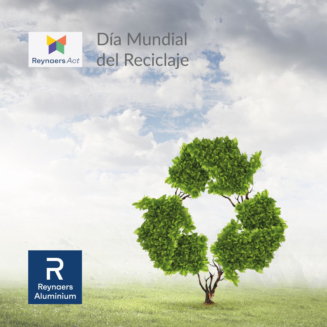 Dia Mundial del Reciclaje🌱

Hoy el mundo celebra el Día Mundial del Reciclaje con el objetivo de sensibilizar sobre la importancia de tratar los residuos como lo que realmente son: recursos valiosos.

👉 brnw.ch/21wJRXc

#ReynaersAluminium #TogetherForBetter