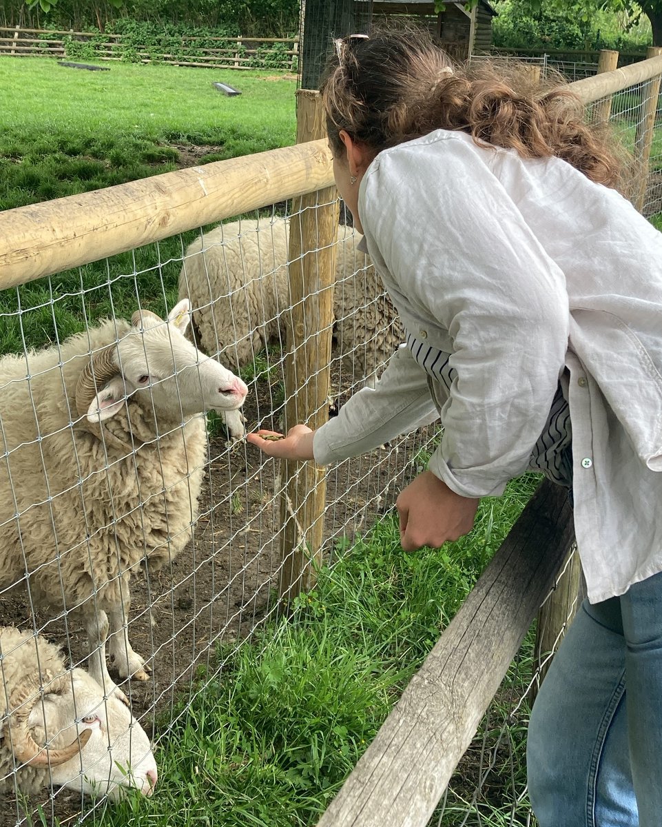 As part of the #MHAW2024 we organised a walk to the @Mudchutefarm to visit our neighbours. Spending time with animals can be very beneficial for our wellbeing. #wellbeingatwork #mentalhealthawarenessweek2024