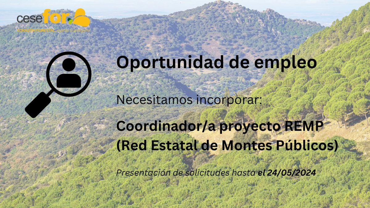 📆 Hasta el 24 de mayo puedes aspirar a esta oportunidad laboral en Cesefor: Coordinación del proyecto REMP (Red Estatal de Montes Públicos). Mira los detalles y envía tu CV a través del formulario que encontrarás en esta página 👉🏽 cesefor.com/es/licitacione… #empleo #trabajo