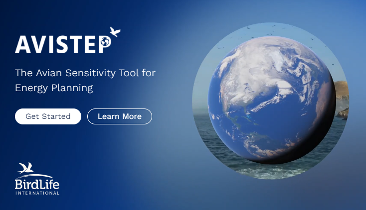 BirdLife Marine tweet media