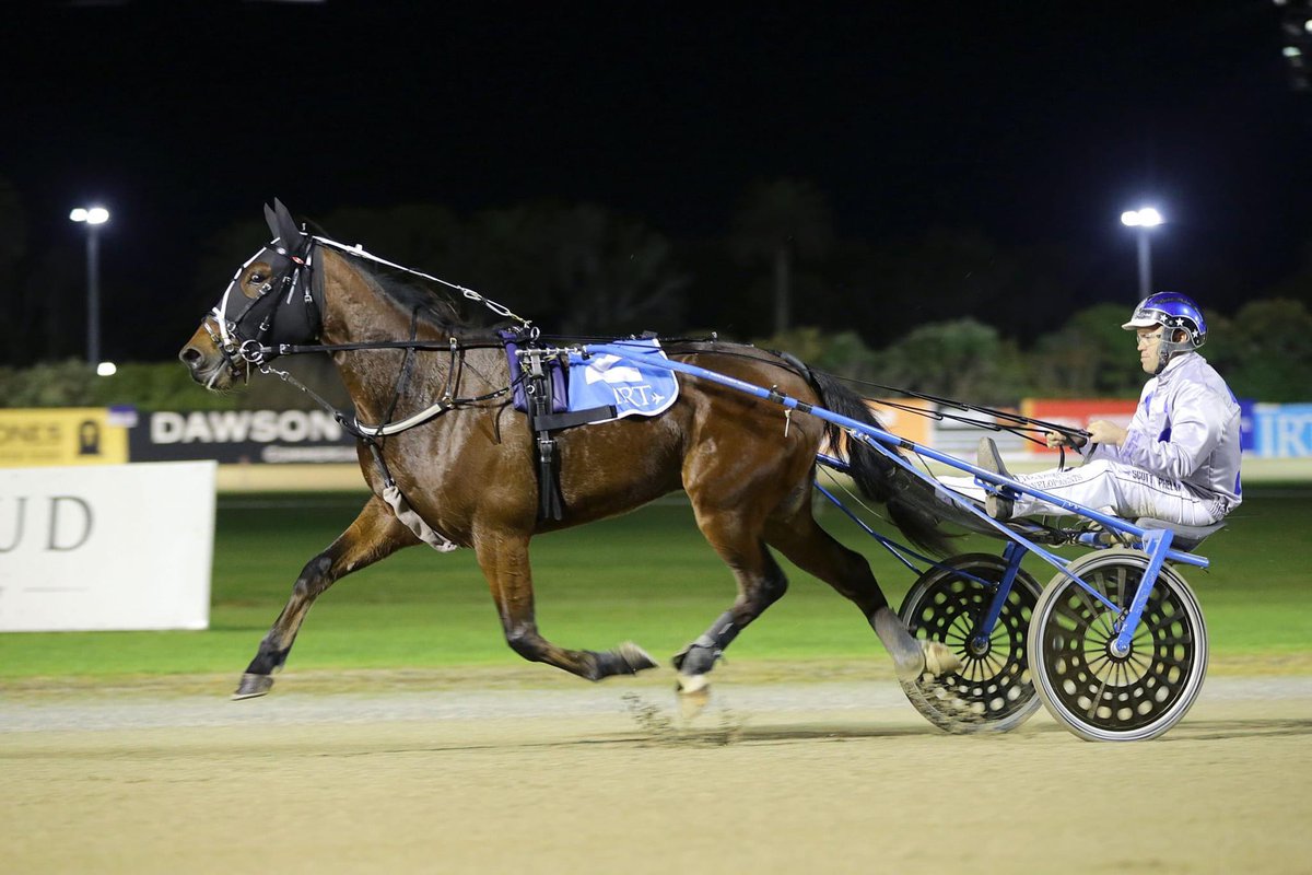 Breckon Farms (@breckonfarms) on Twitter photo The #BreckonBreds run 1,2,3,4 in the Grp3 <a href="/FlyIRT/">IRT</a> 2YO Trotters Young Gun Final
βοΈAll were sired by Father Patrick
π First 3 were out of #BreckonBred Group1 winning mares
π§βπ§βπ§βπ§ Higher Power is High Gaitsβ 3rd Group Race winner
π¨1st & 2nd are <a href="/nzbstandardbred/">NZB Standardbred</a> Graduates The #BreckonBreds run 1,2,3,4 in the Grp3 <a href="/FlyIRT/">IRT</a> 2YO Trotters Young Gun Final
βοΈAll were sired by Father Patrick
π First 3 were out of #BreckonBred Group1 winning mares
π§βπ§βπ§βπ§ Higher Power is High Gaitsβ 3rd Group Race winner
π¨1st & 2nd are <a href="/nzbstandardbred/">NZB Standardbred</a> Graduates