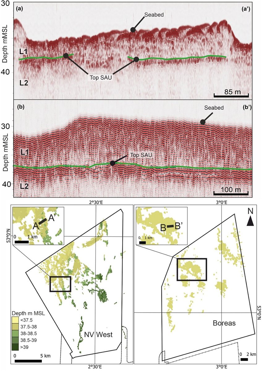 🚨New paper!🚨 Landscape evolution during Holocene transgression of a mid-latitude low-relief coastal plain: The southern North Sea, by Eaton et al., utilising offshore wind farm data from the North Sea. onlinelibrary.wiley.com/doi/10.1002/es…