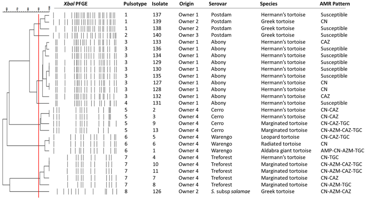 Vetsci_MDPI's tweet image. 📌 #Antimicrobial Resistant #Salmonella in #Chelonians: Assessing Its Potential Risk in #Zoological Institutions in Spain

🎓 by Dr. Clara Marin-Orenga, Santiago Vega García et al. from CEU Cardenal Herrera University, Spain

mdpi.com/2306-7381/9/6/…